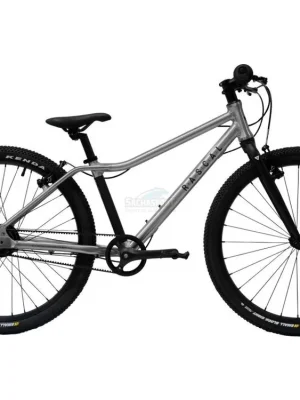 Zlevněný Dětské kolo Rascal 24 Titanium (stříbrná)  + doprava zdarma + servis