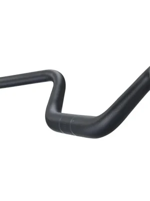 Must-Have RITCHEY řidítka COMP BUZZARD Rizer 31.8x820x70